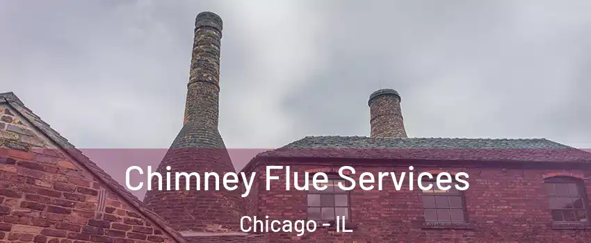  Chimney Flue Services Chicago - IL