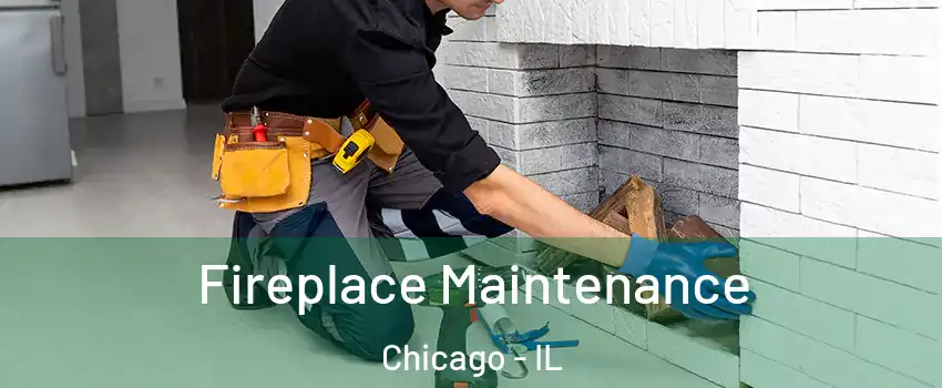  Fireplace Maintenance Chicago - IL